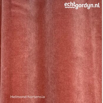 helmond-hortensia-roze-velours