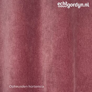 opheusden-hortensia-roze-velours