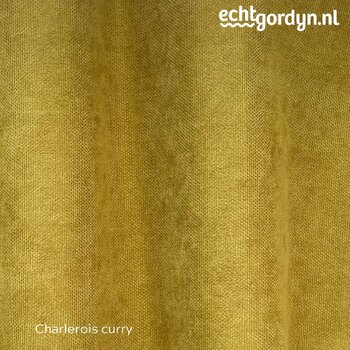 charlerois-curry-naadloos